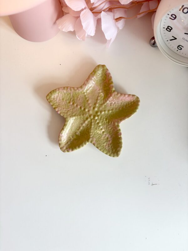 Étoile de mer marbrée rose et kaki