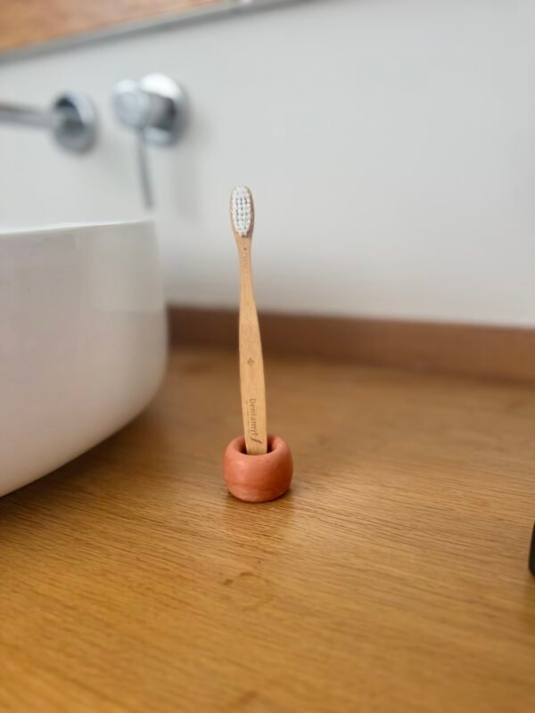 Porte-brosse à dent